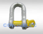 Grade&nbsp;S&nbsp;Dee&nbsp;Shackle