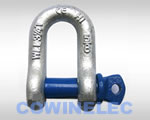 Screw&nbsp;Pin&nbsp;Chain&nbsp;Shackle&nbsp;G210