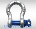 Screw Pin Anchor Shackle G209