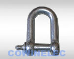Large&nbsp;Dee&nbsp;Shackle