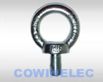 DIN&nbsp;580&nbsp;Eye&nbsp;Bolt