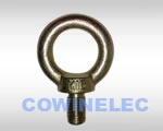 JIS&nbsp;B&nbsp;1168&nbsp;Eye&nbsp;Bolt